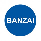 BUTTON CAP ROUND BANZAI BLUE CAP / WHITE LETTER
